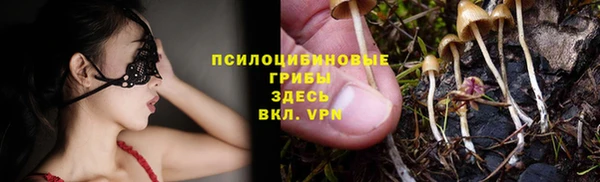 спайс Белокуриха