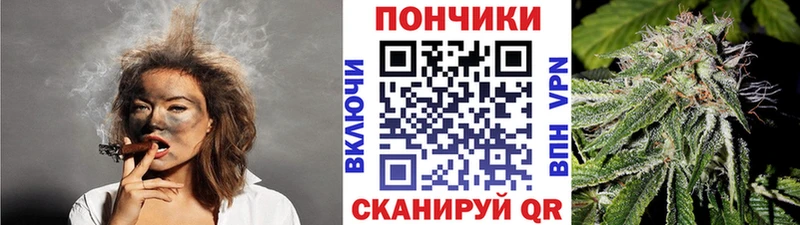 Канабис ГИДРОПОН  MEGA зеркало  Нариманов 